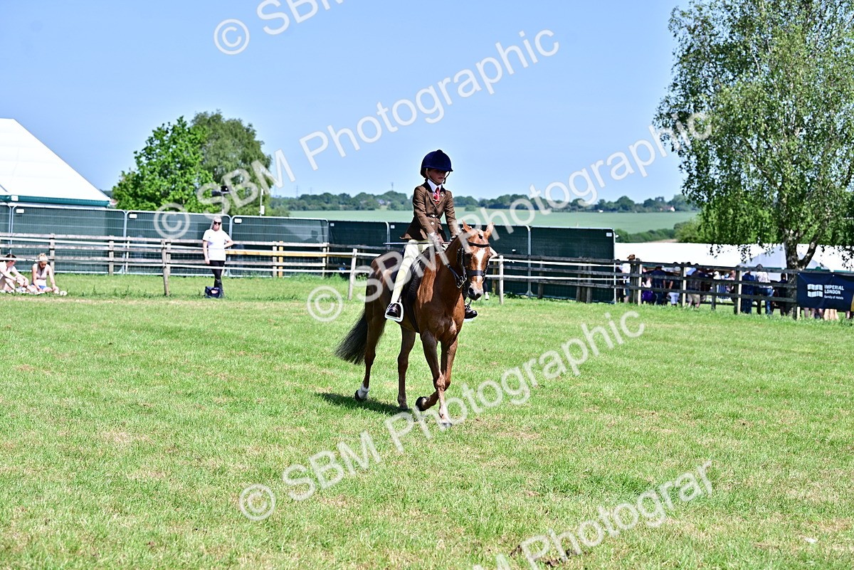SBM_13939 - Class 95-97 - BSPS LHS Performance Ponies