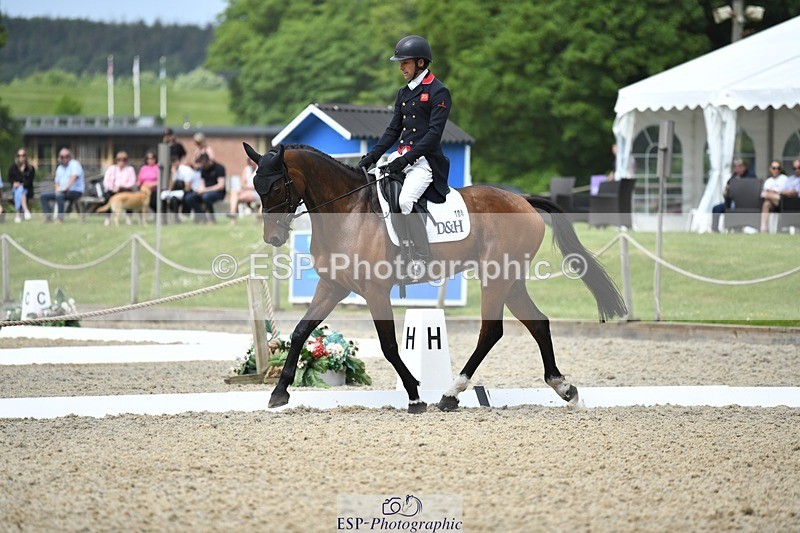 230525-115032-01911 - 104-GALAKIS_DE_L'OCEAN-Harry_Meade-WEDTrotUp+DR