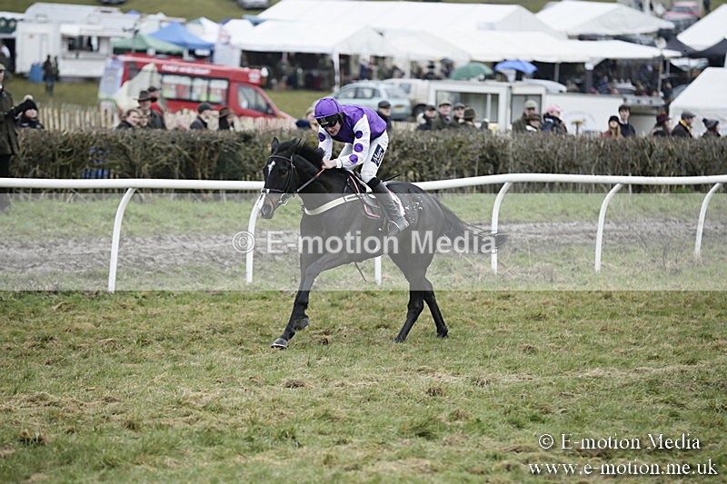 PtP 020418 -477 - Old Berks Point-to-Point Races Easter Monday 02/04/18