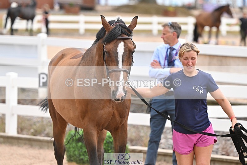 250716-151133-01742 - Trot Up 2.30 to 3.30