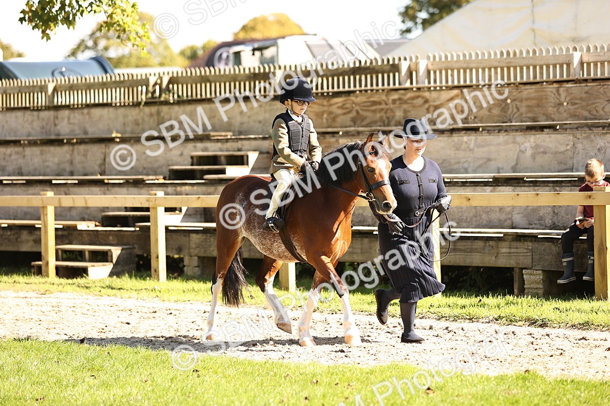 SBM_19215 - S3 - TSR Ridden Pony Showing