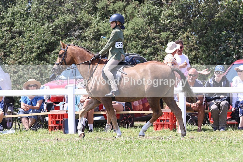 JPP_2769 - Class 21: Working Hunter 60cm