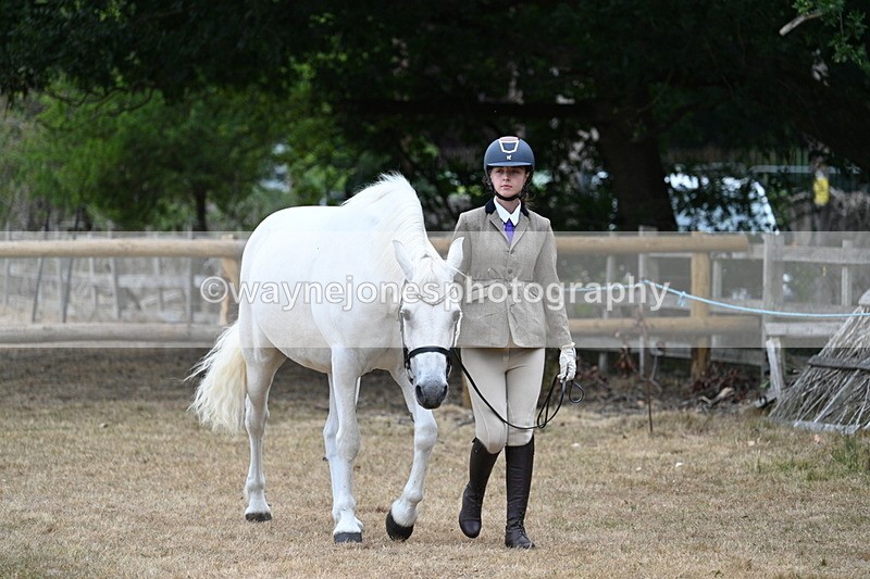 WJ7_8648 - Class 4a Prettiest Mare 14.2hh and over