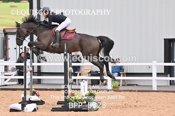 BPP_5323 - CLASS 8 THURS HOYS GFS Saddles Senior Newcomers Second Round