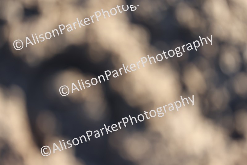 20251130-0390 - Class 2 - 70cm