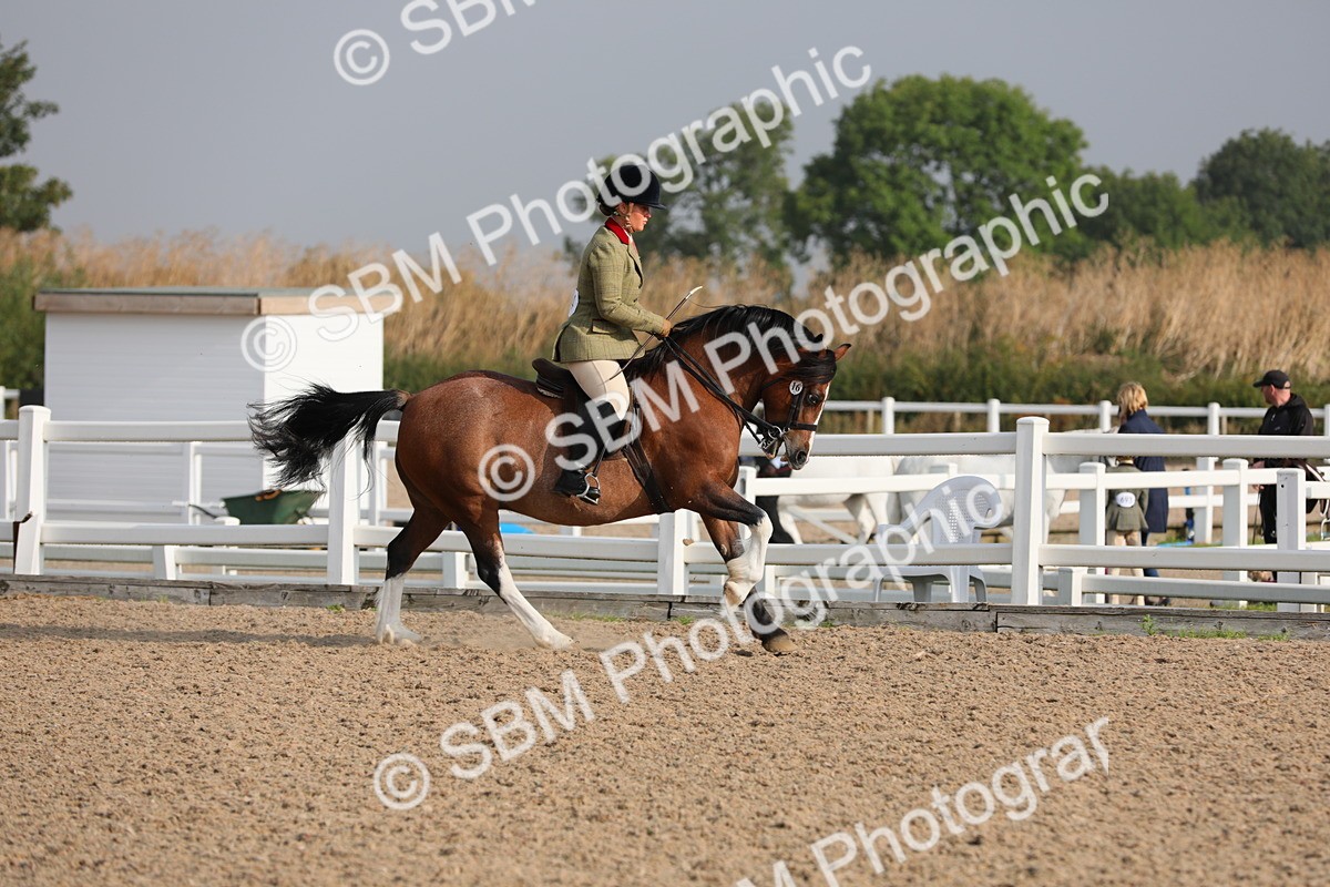 SBM_10099 - Class 302 Ridden M&M -Large Breeds