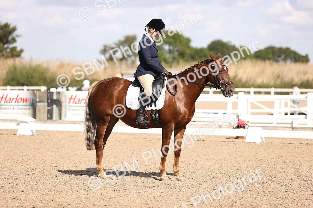 SBM_03581 - CLass 35 Intro 3