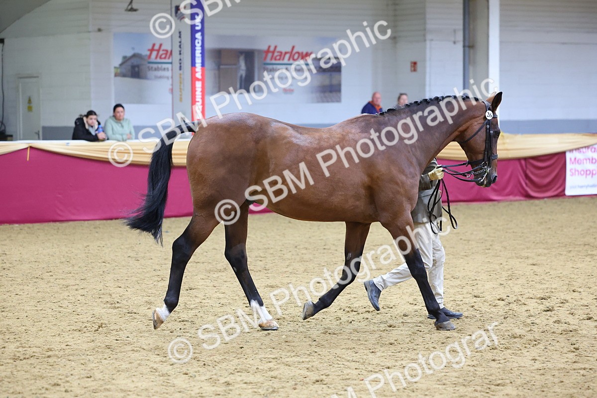 SBM_19520 - Class 901 - Supreme Final - IH Diamond