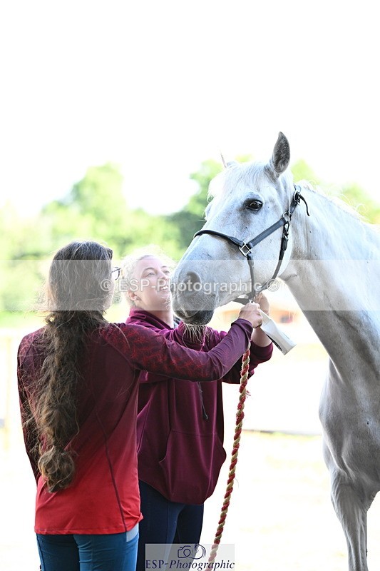 240809A-085830-00037 - Stable Shots