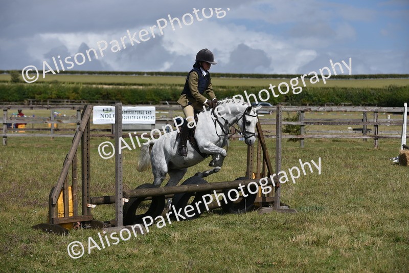 20250831-3942 - Class 11 - Working Hunter Pony 13hh and Under