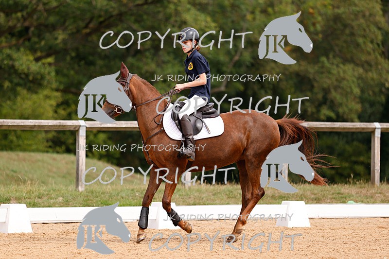 _R6A2525 - Dressage Morning