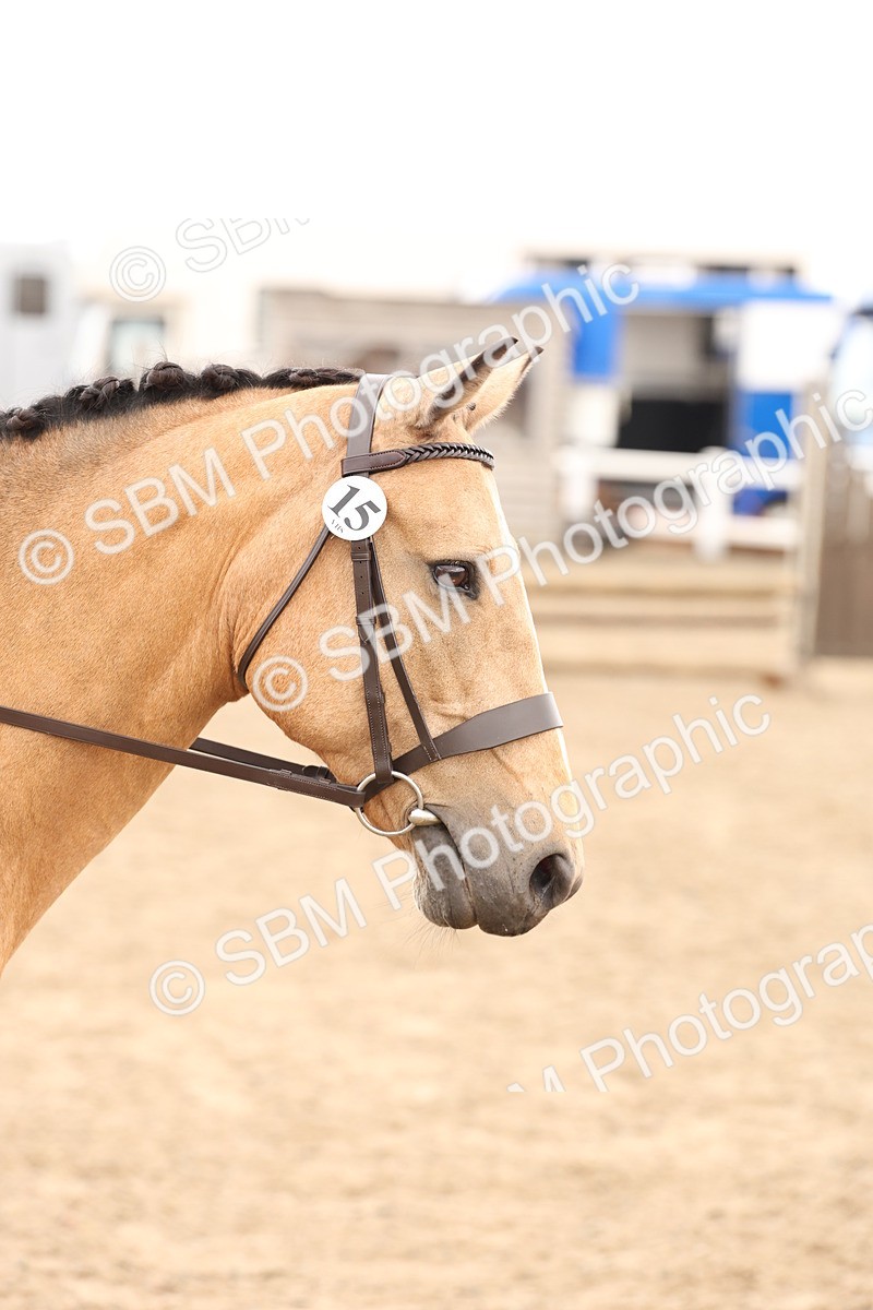 SBM_06741 - Class 58a -  Style & Performance - 70cm (15-19)