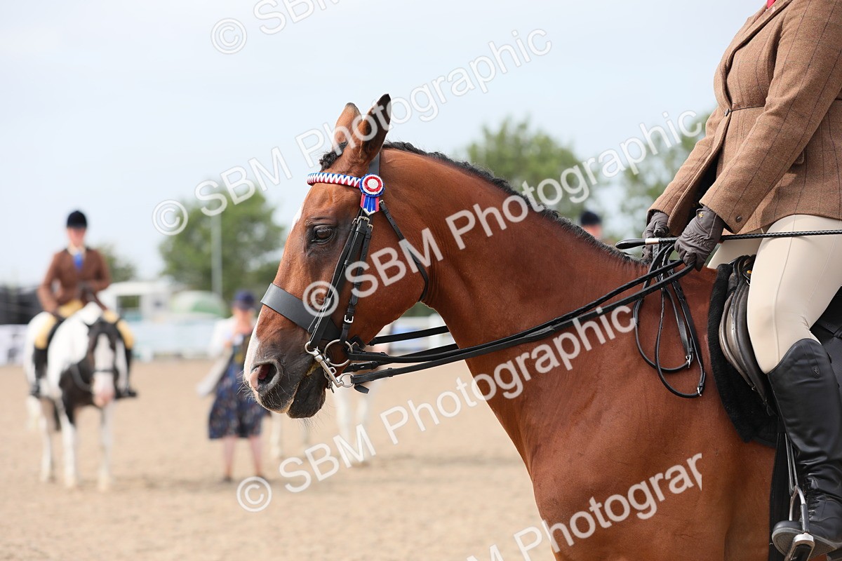 SBM_16958 - Class 314 Family Horse/Pony