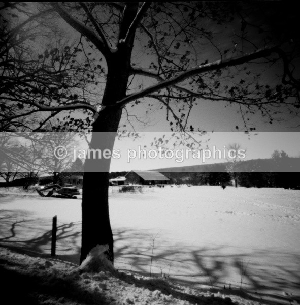 673243920005 - Pinhole Photography