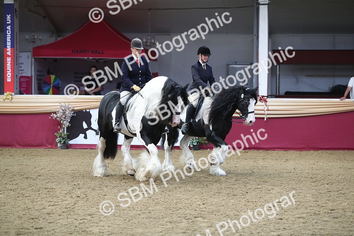 SBM_13670 - Class 109 Ridden Pairs - Section B