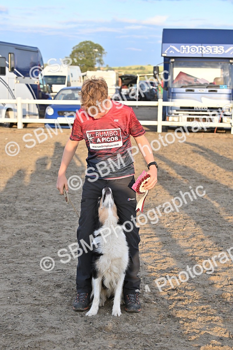 SBM_09716 - Lorry Dogs