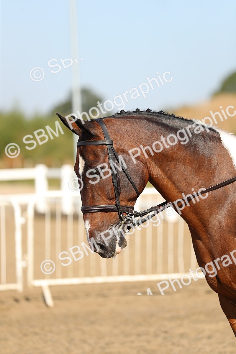 SBM_01221 - Class 42 Ridden Veteran