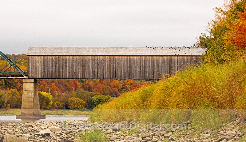 Old Florenceville Covered Bridge New Brunswick Canada - Covered Bridges of New Brunswick