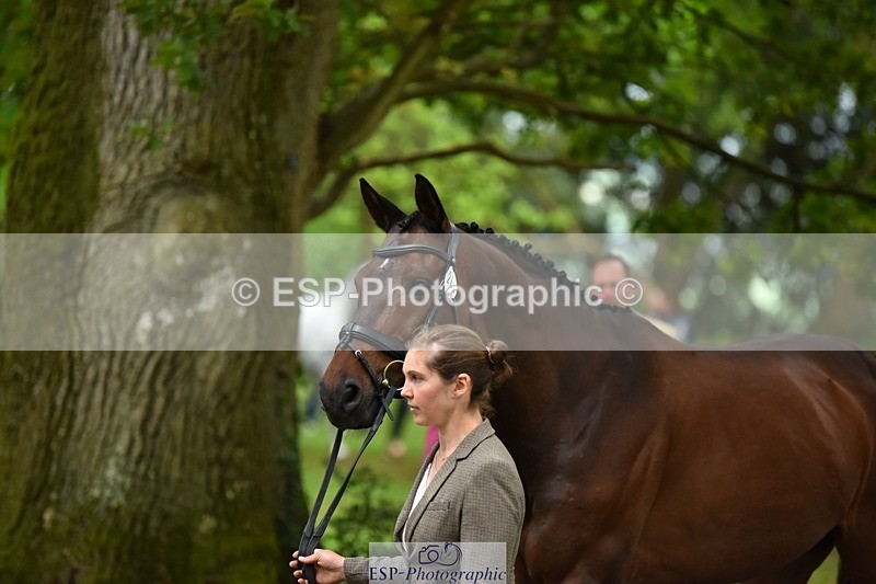 240522-172618-01605 - 288-CHACTAS_CHALONGES-Berengere_Itier
