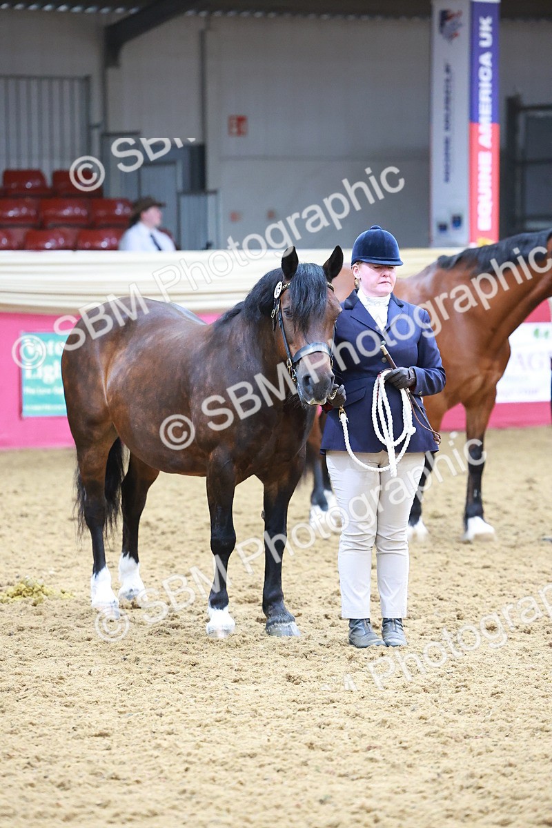 SBM_16783