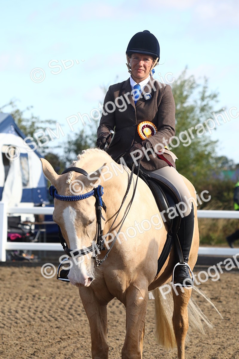 SBM_08604 - Class 502 - Riding Club Horse