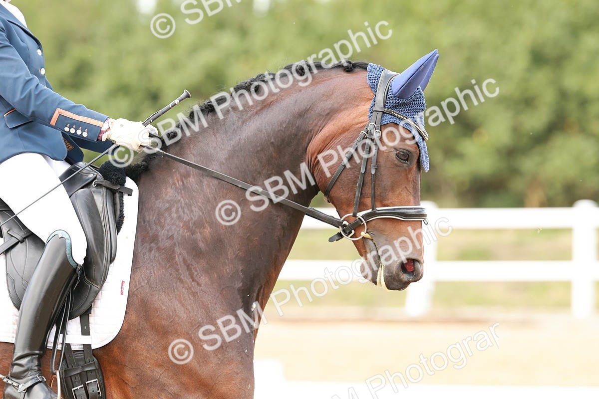 SBM_002171 - Class 11 - Medium 6