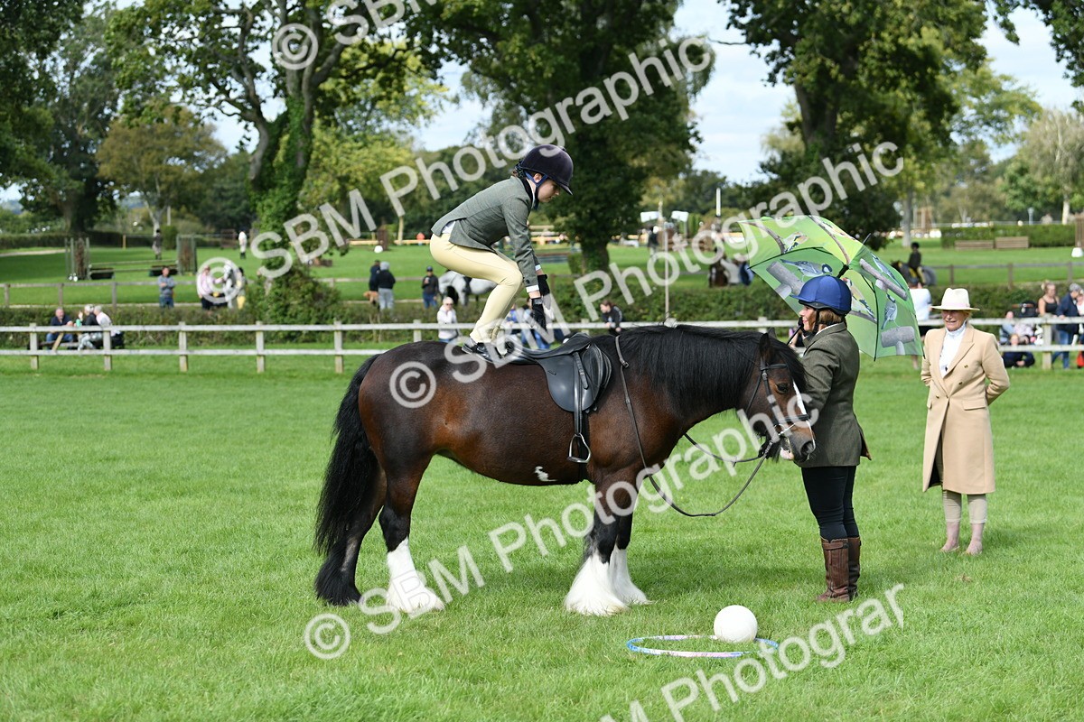 SBM_46929 - S12 - Family Horse & Pony
