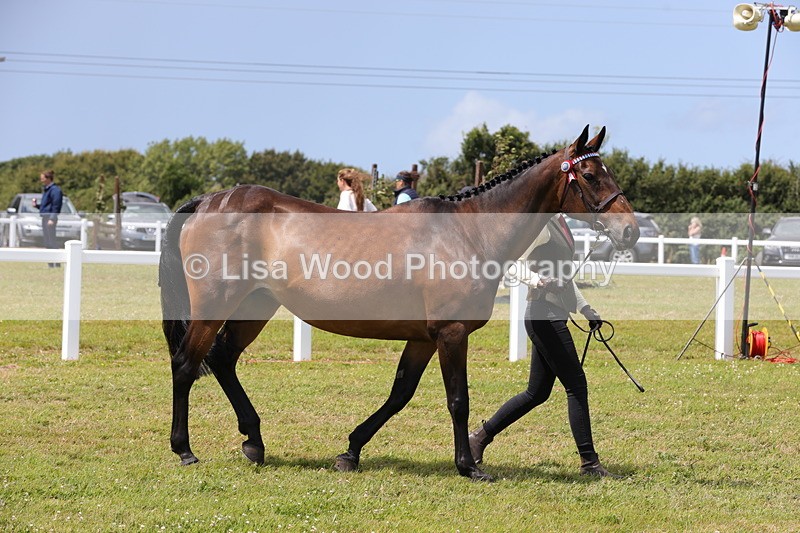 1X9A4883 - Class 35: Veteran In Hand