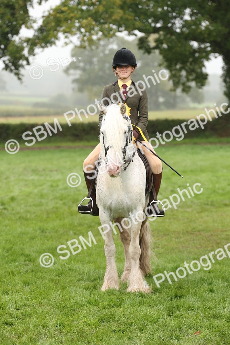 SBM_72861 - S70 - Traditional Cob Ridden