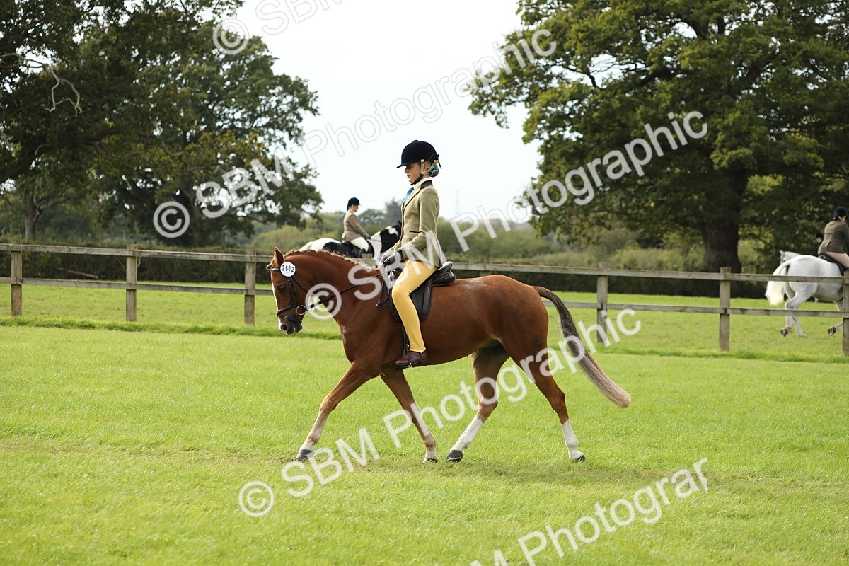 SBM_71498 - S41 - Ridden Equitation (Best Rider)