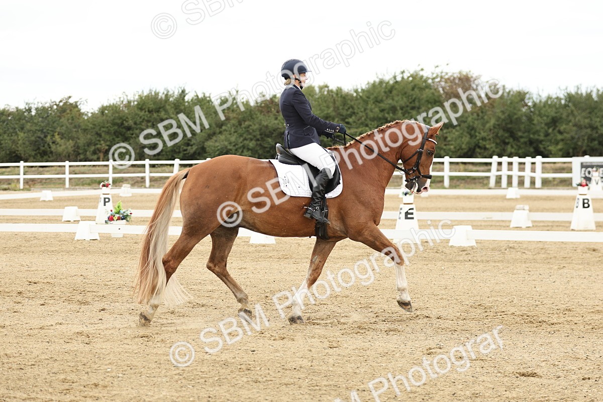 SBM_006625 - Class 21 - Medium 5 Bronze - 9.08-9.48