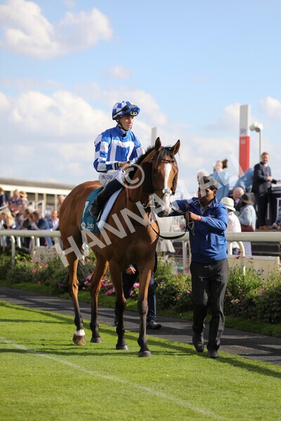 yr20082022r7-3 - Race 7 5.20pm Sky Bet Finale Stakes