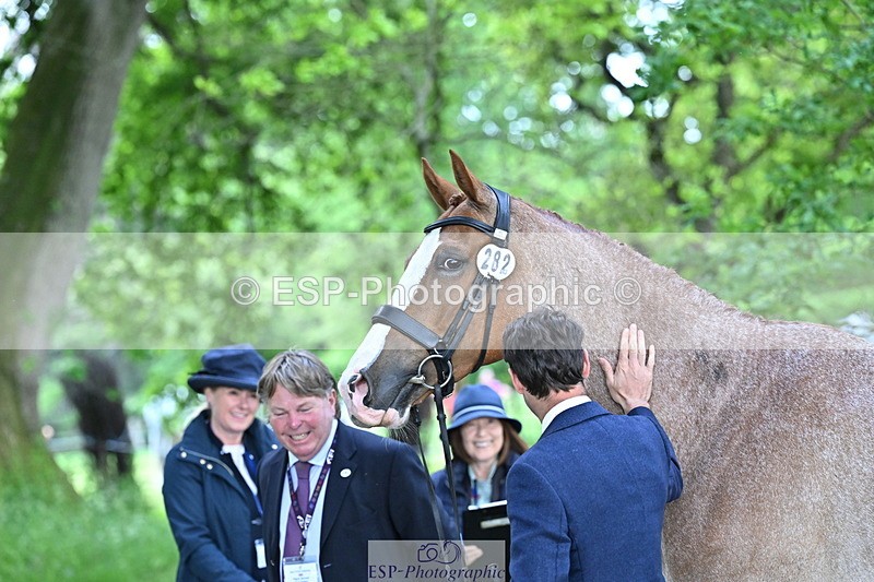 250521A-160832-00936 - C-282-Harry.Meade-NASHVILLE