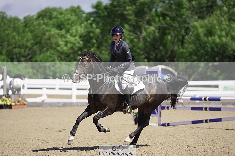 230624A-110806-01016 - Cls 22 British Novice 2nd Rounds