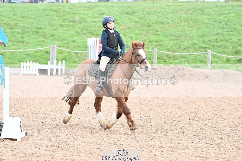 240127A-100715-00375 - SJ 50cm