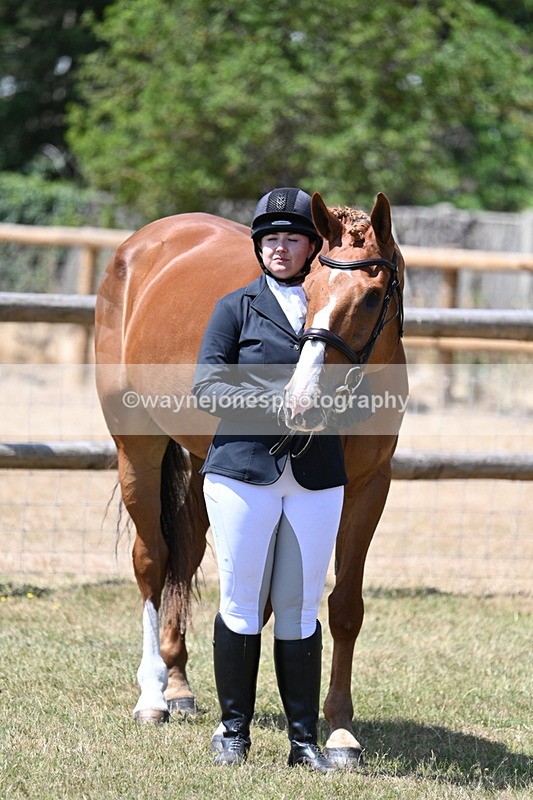 WJ7_2382 - Class 5a Most Handsome Gelding in hand (above 14.2hh)