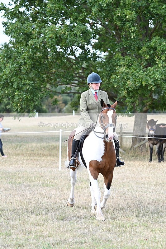 WJ7_7121 - Class 14 Ridden Coloured