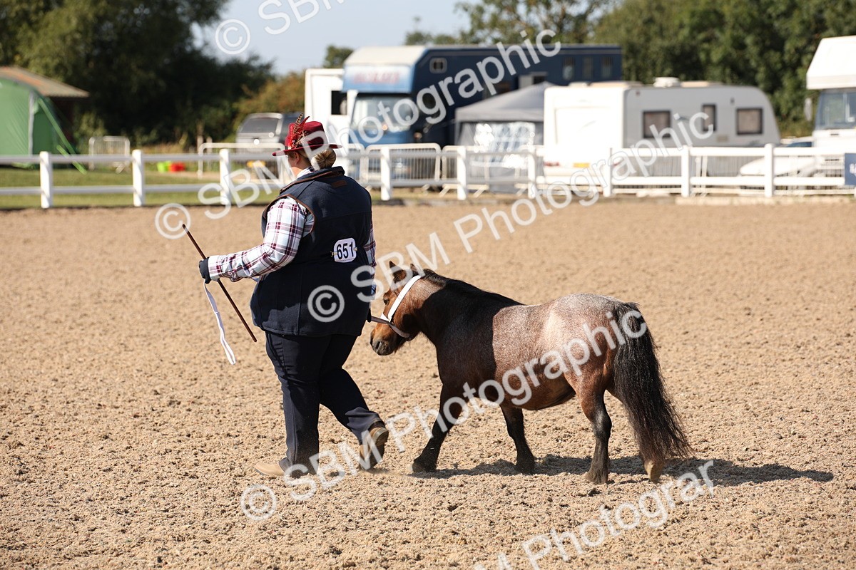 SBM_02768 - Class 16 IH M&M Wildcard