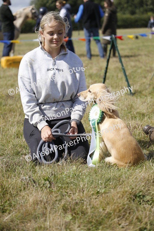 20250831-3709 - Dog Show