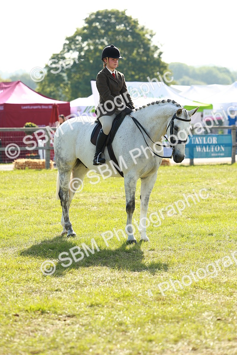 SBM_10952 - Class 66-69 - RIHS Ridden Hunters Inc Small Hunter