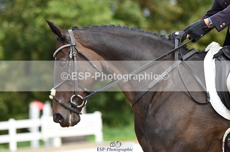 230912A-120402-00680 - Cls 8 Elementary 59