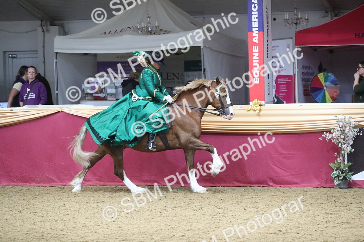 SBM_12130 - Class 107 Ridden Costume- Astride Adult (20+)