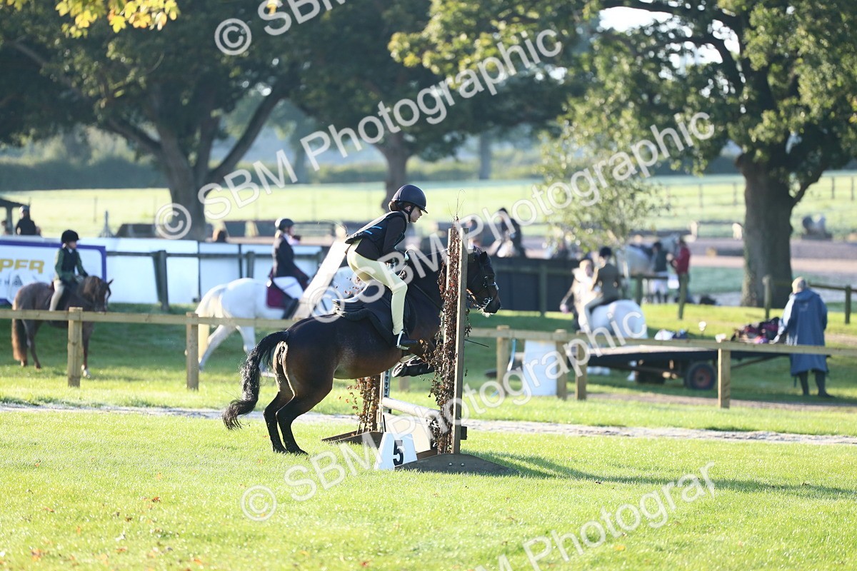SBM_31887 - S28 - Nursery Stakes Working Hunter Pony