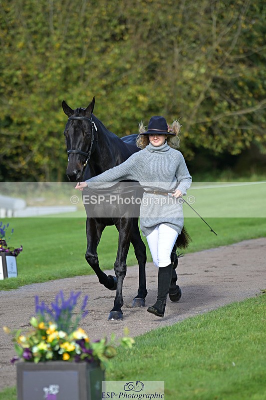 241023-130215-00035 - 002-Ellie.Fredericks-BRITANNIA'S.OLIVE