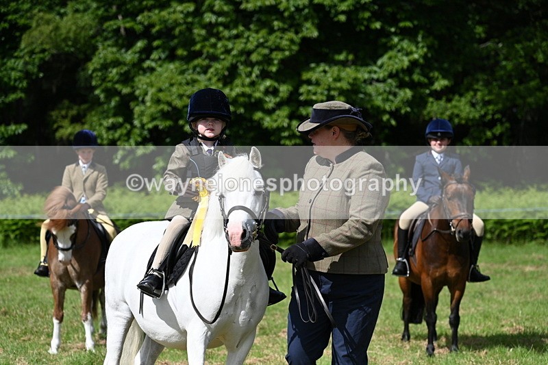 WJ7_0840 - Class 8 First Rally Pony