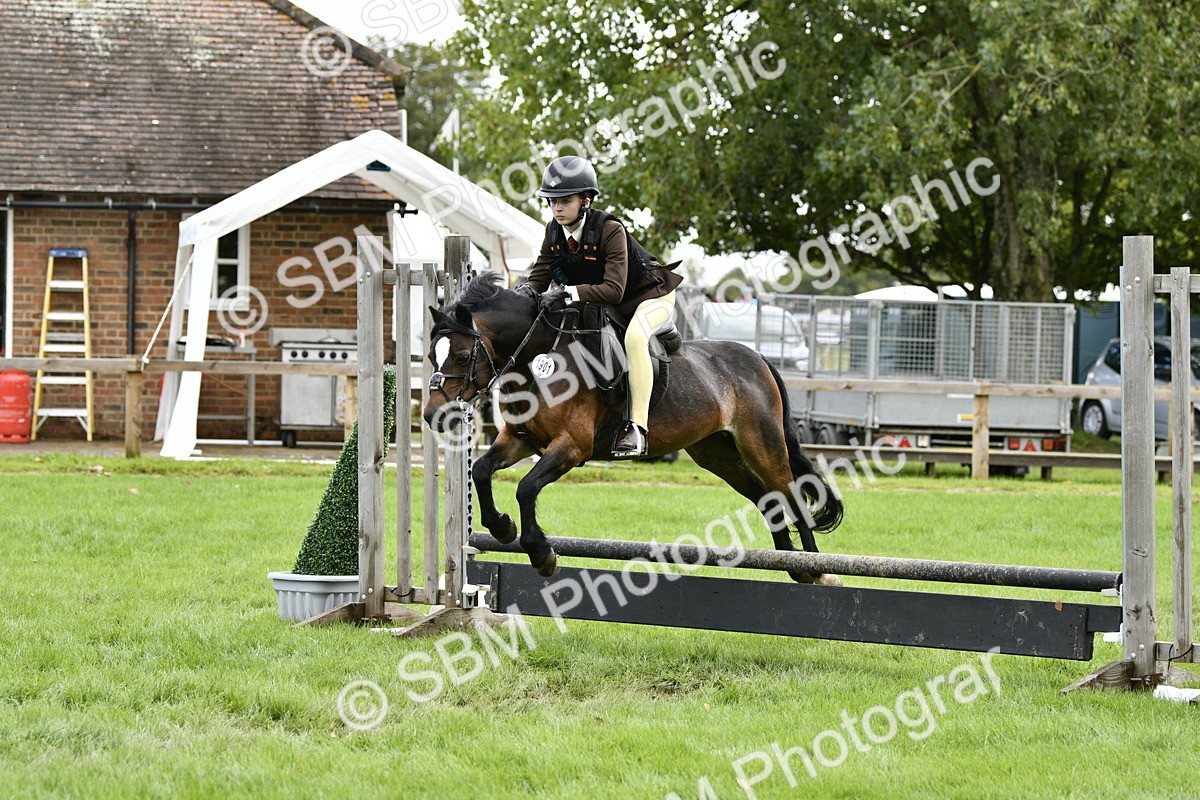 SBM_41264 - S32 - Mountain & Moorland Working Hunter Pony