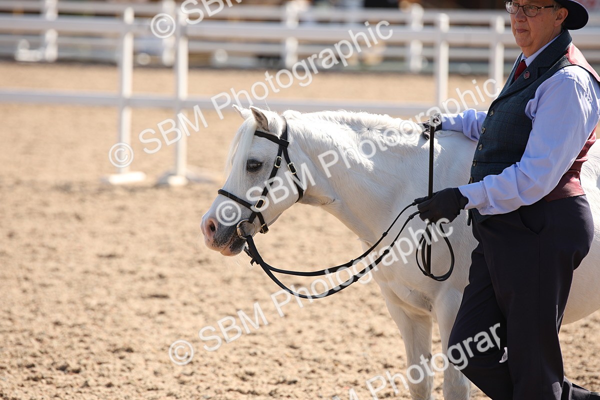 SBM_02726 - Class 16 IH M&M Wildcard