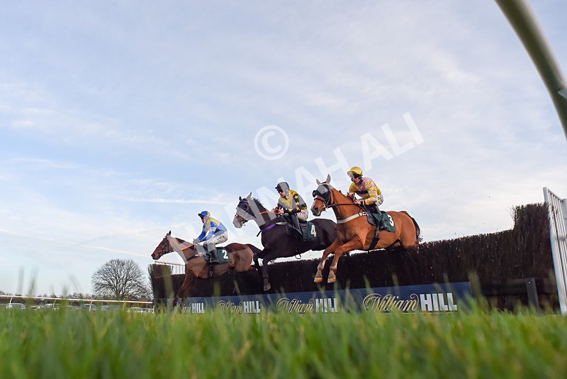 010124-Race 5-Skyhill-5428 - Race 5