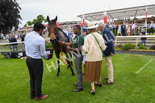 170623-Race 3-Quickthorn-0358 - Race 3 3.05pm Sky Bet Race To The Ebor Grand Cup Stakes