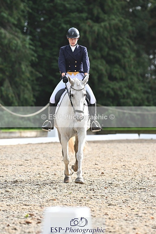 231019-144237-04581 - 126-DERRYS.LADY.LOU-Debbie.Townsend-DR